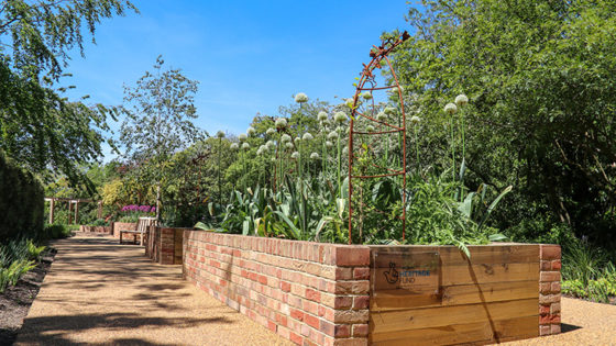 Sensory Garden at Highdown Gardens (raised planting beds)