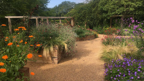 Sensory garden - late summer 2021 - raised planters, flowers and pergola