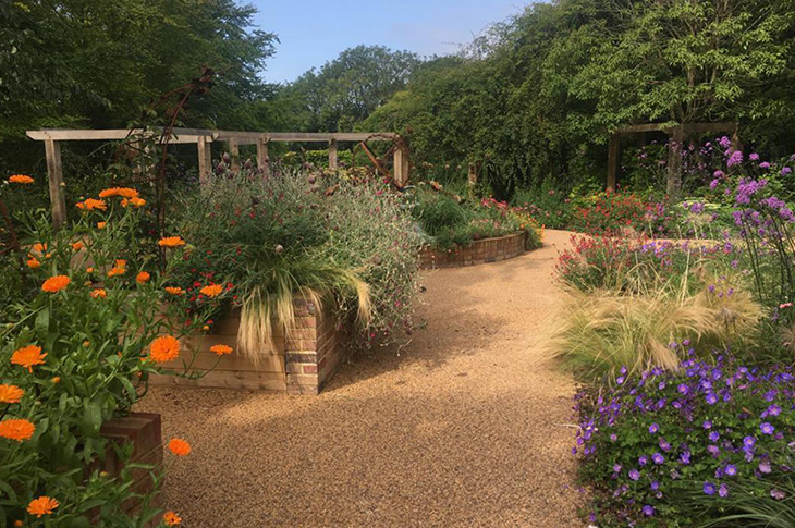 Sensory garden - late summer 2021 - raised planters, flowers and pergola