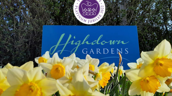 Highdown Gardens - sign, daffodils and Queen's Platinum Jubilee logo