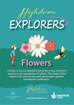 Highdown Explorers - Flowers (cover)