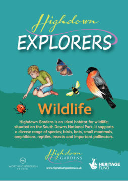 Highdown Explorers - Wildlife (cover)