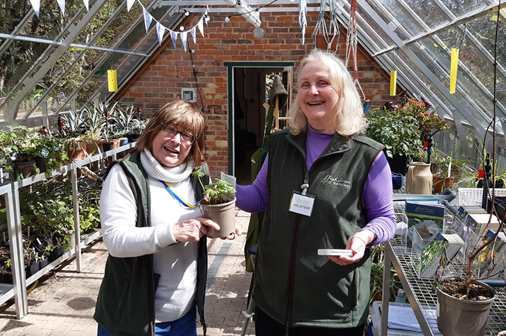 Jane (left) with Anita (right) in the Highdown greenhouse volunteering in the pop up shop