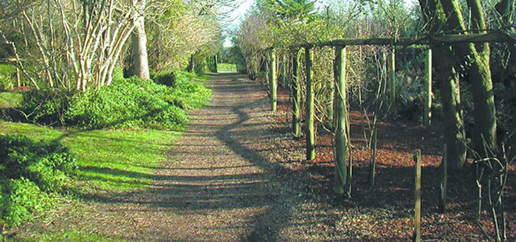 The pergola at Highdown Gardens (looking east)