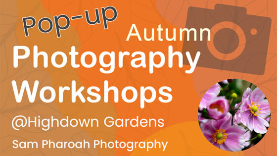 Photography Skills Workshops (18th Sept to 29th Oct)